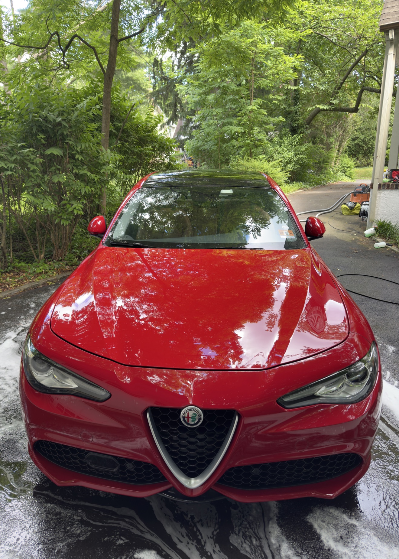 Front view of a red Alfa Romeo Giulia Q4 after detailing